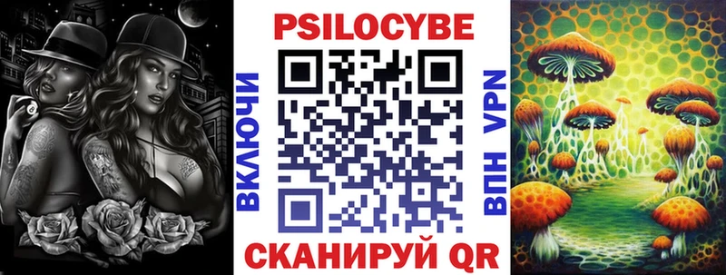 Псилоцибиновые грибы Psilocybe  Шимановск 